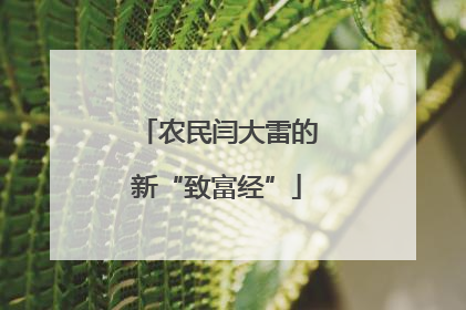 农民闫大雷的新“致富经”
